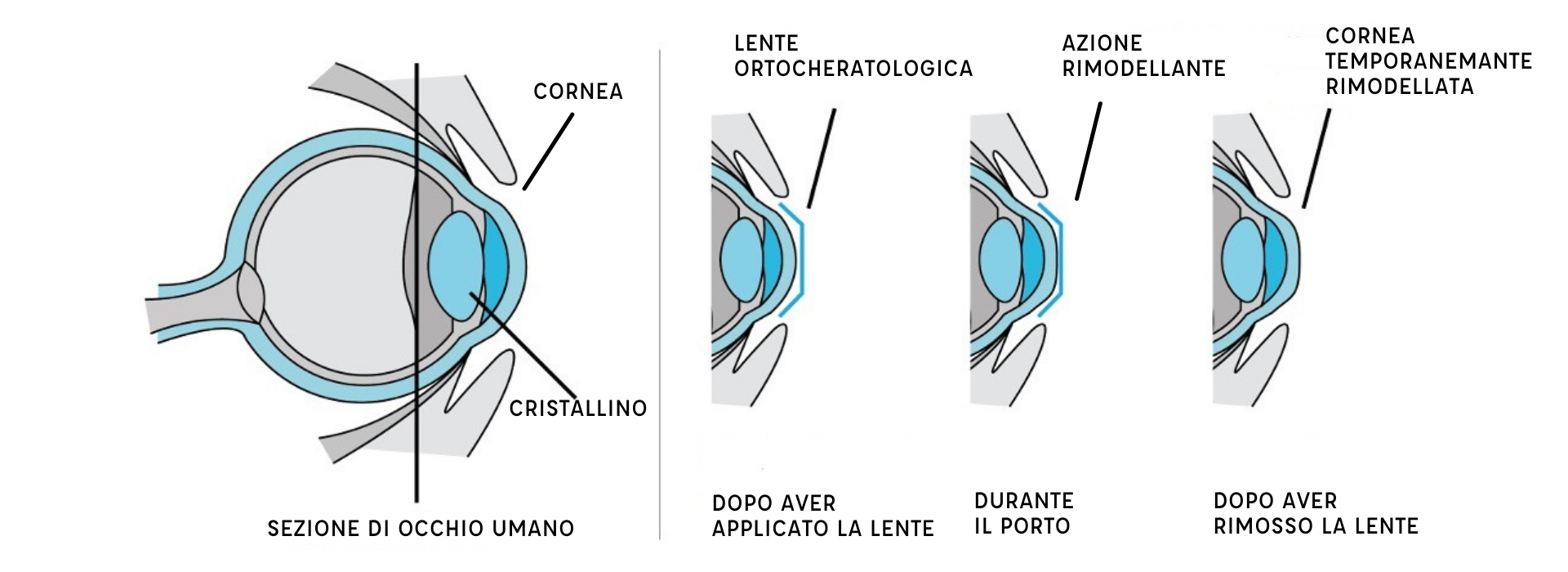 DORMICI SU, NON CREDERAI AI TUOI OCCHI - OXO Italia